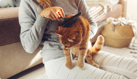 Chất g&acirc;y dị ứng L&ocirc;ng động vật